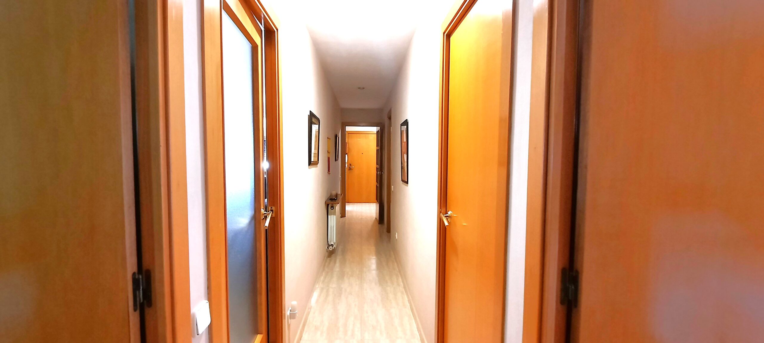 20250404_113718